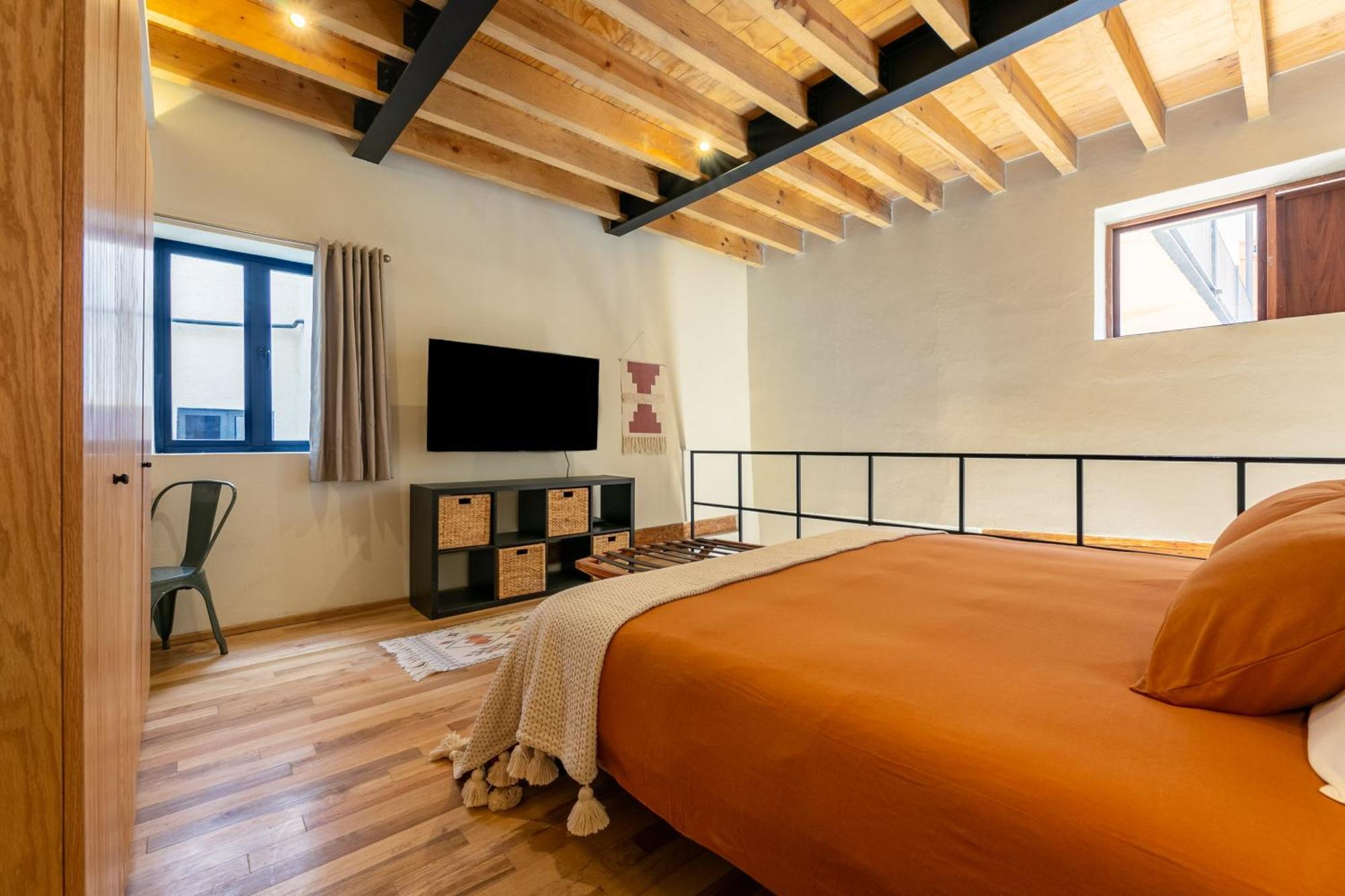 Apartment Charming Loft In An Historic Porfirian-era Building